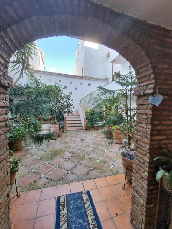 Vonkajšia záhrada v ubytovaní Apartamentos en Patio Cordobés San Basilio