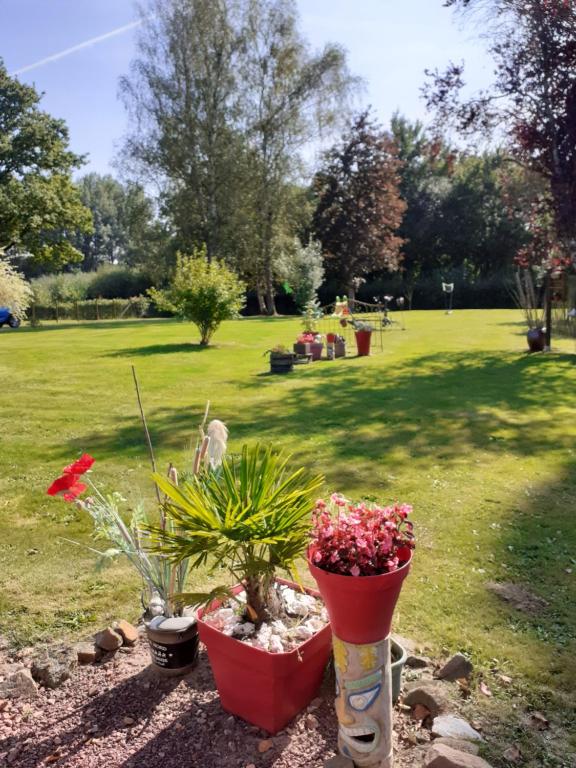 um grupo de plantas em vasos num parque em Petite maison Normande em Bellou-en-Houlme