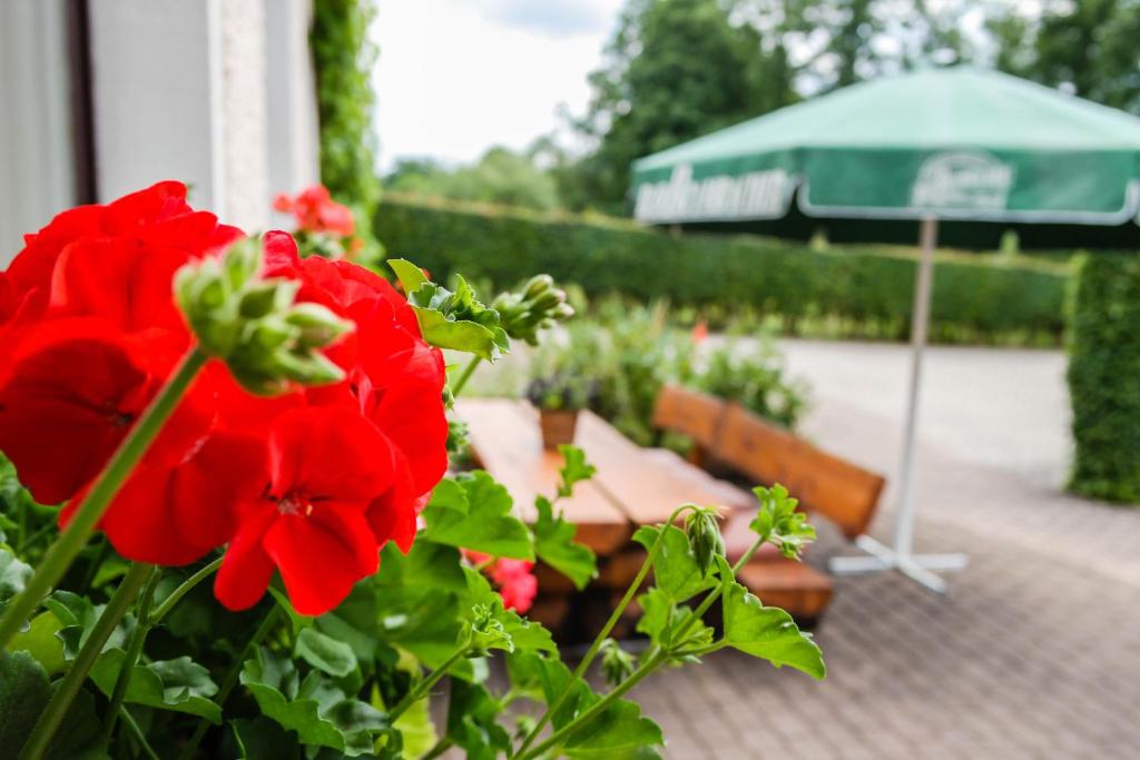 Zahrada ubytování Hotel Vogtland
