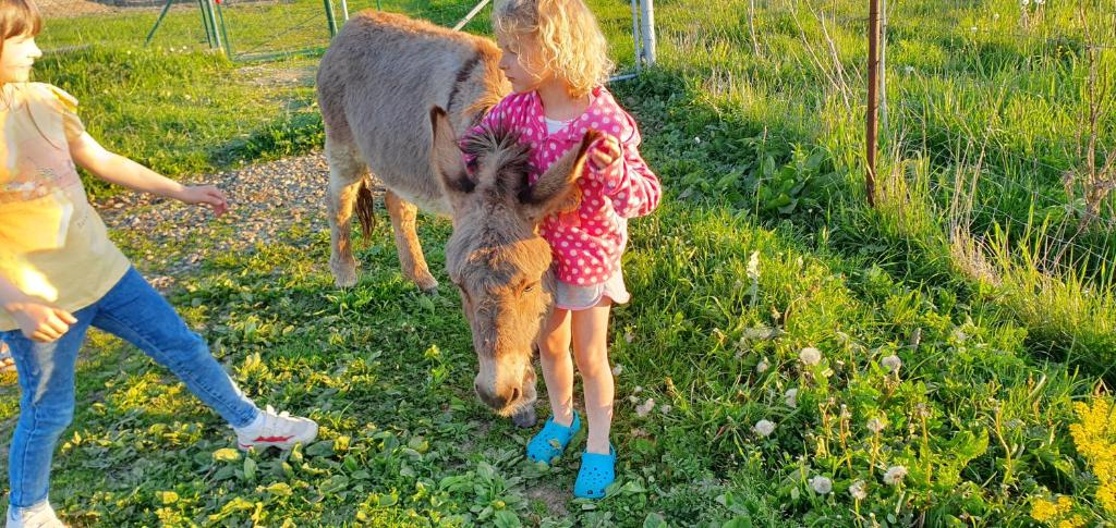 Deti v ubytovaní Agroturystyka na Słonecznej Orawie u Dzikich