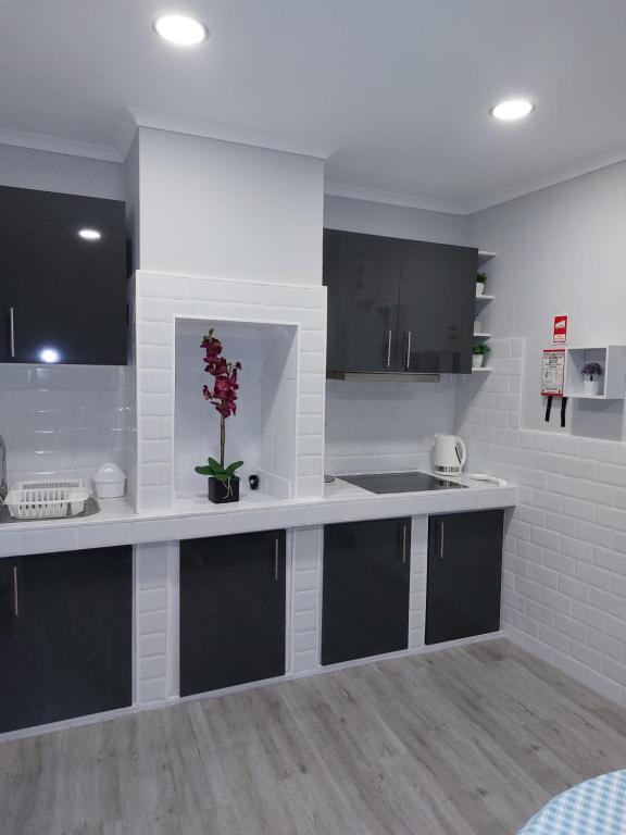 Pineapple Studio - 9