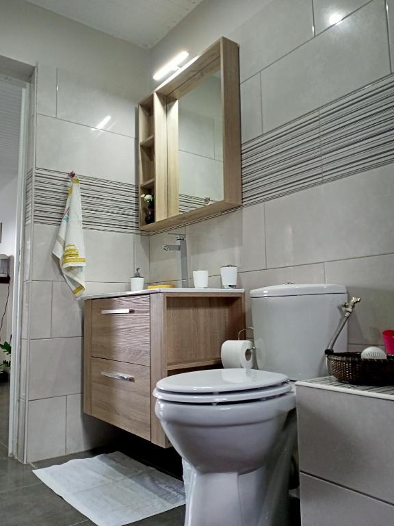 Koupelna v ubytování T2 Échappée belle Sainte-Marie Kybo Karaib Location pkg Mtgne Cosy