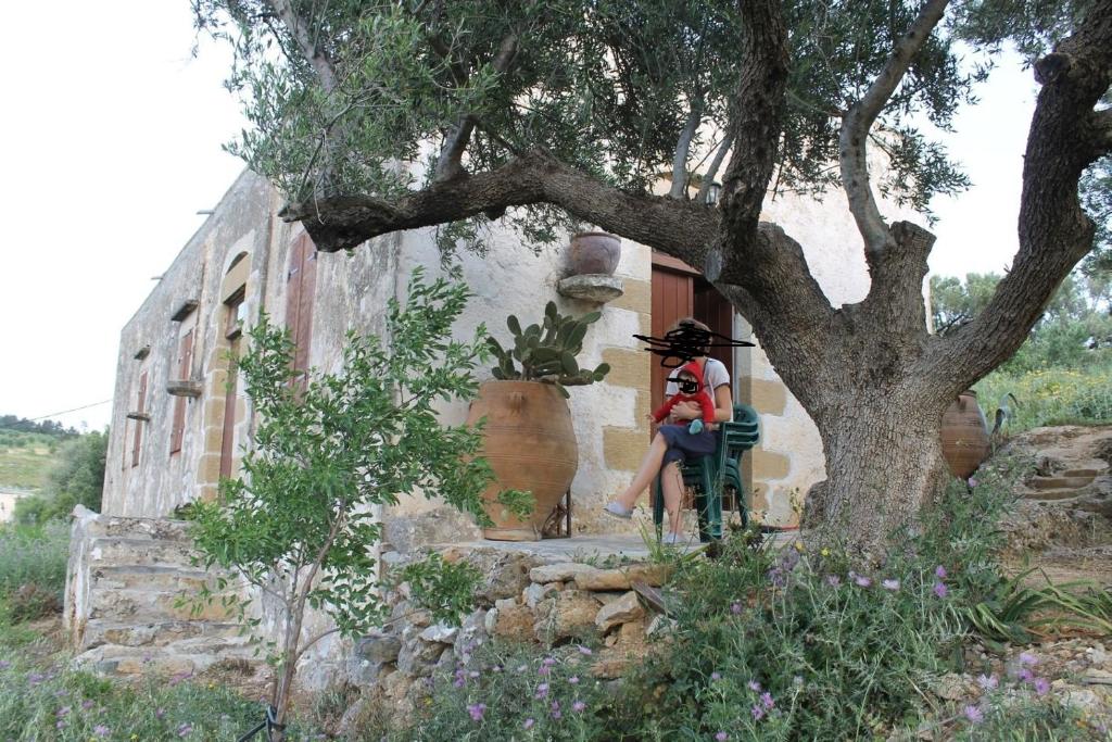 a woman sitting on a chair under a tree at Tsikalaria Traditional Stone House in Tsikalariá