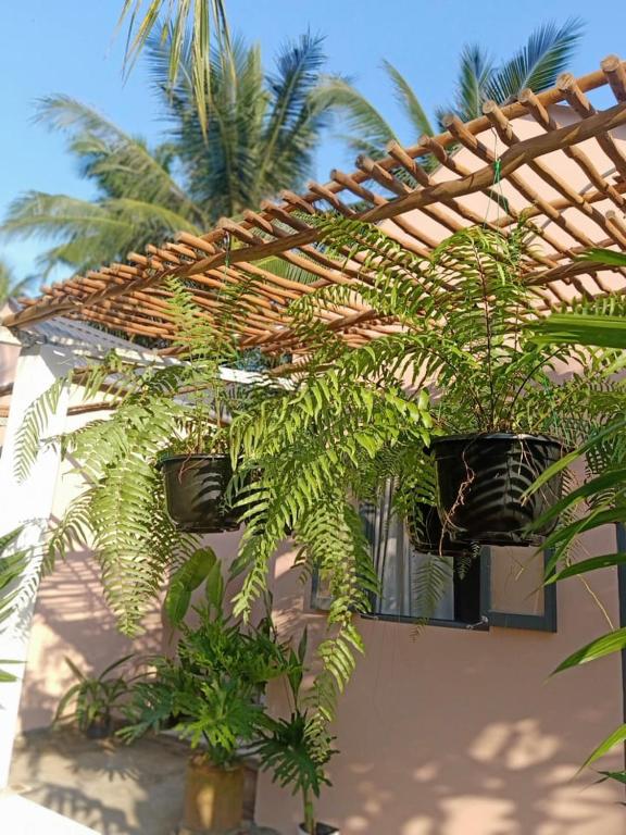 Happy Farm Tien Giang Homestay - Triple Room With Garden View