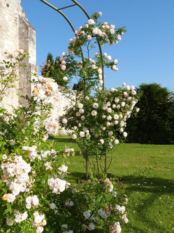 Zahrada ubytování Manoir du Plessis au Bois