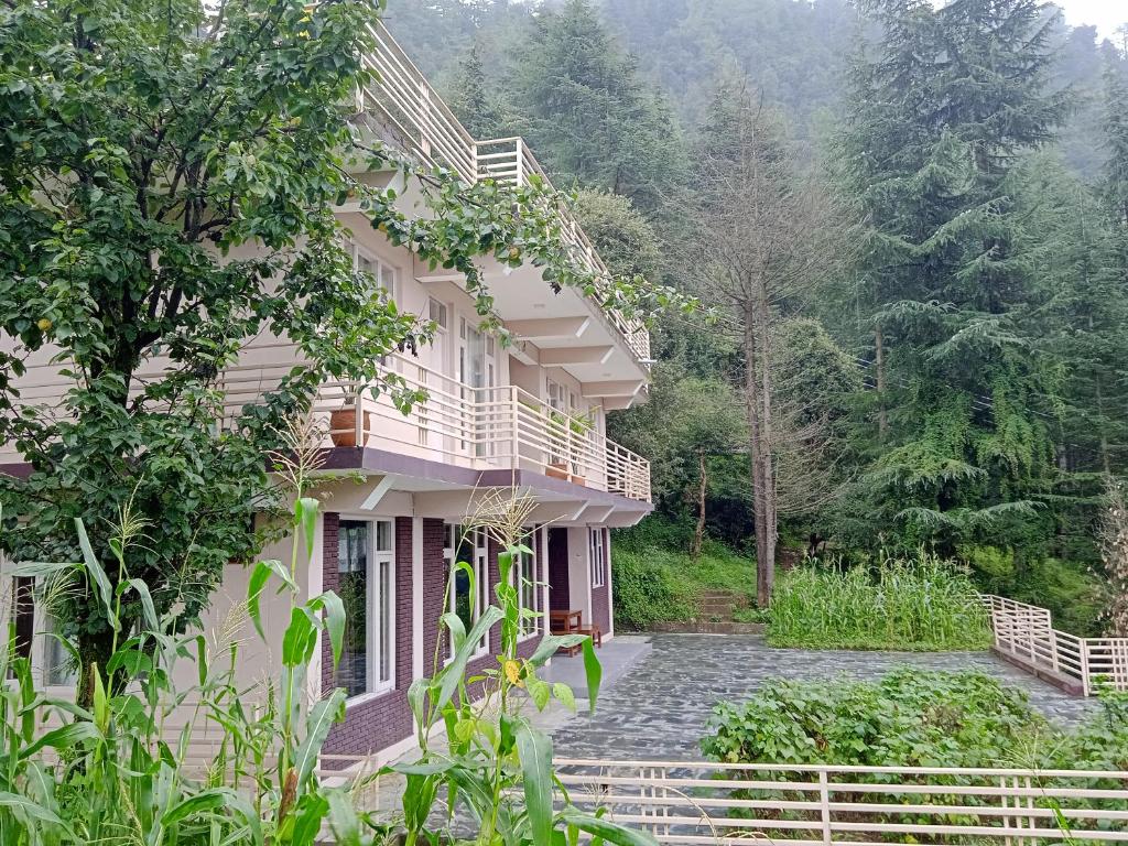 un edificio con una escalera junto a un bosque en Junglaat Ecorganic Stays & Experiences en Dharamshala