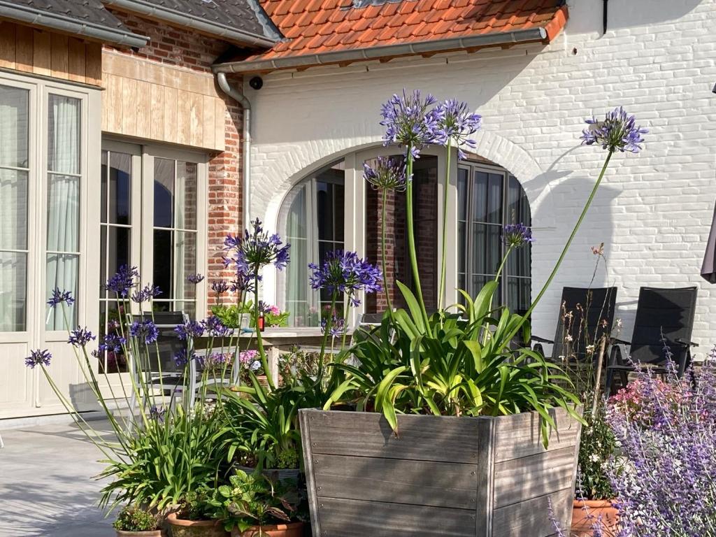 Zahrada ubytování B&B Waterput 1