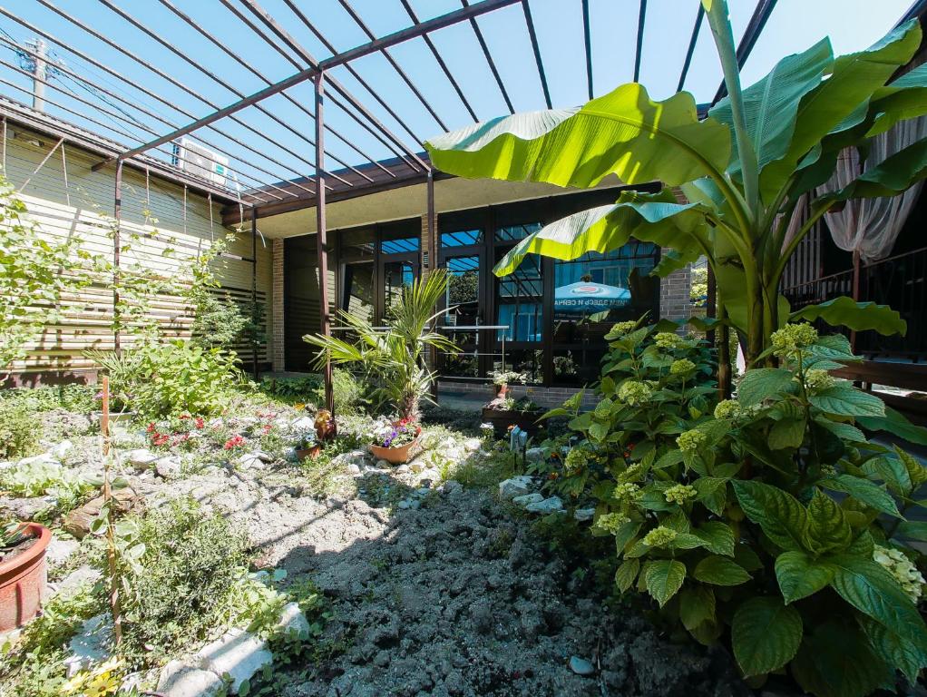 a garden in front of a building with plants at Guest House Panorama in Adler