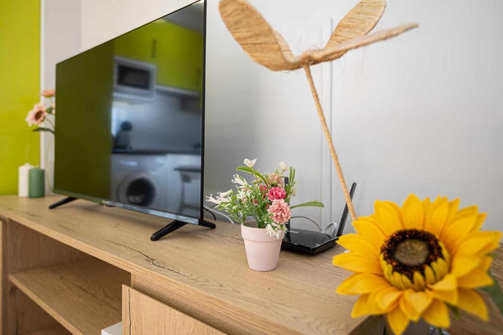 LA CASA DE LUIS Garaje Incluido - 12