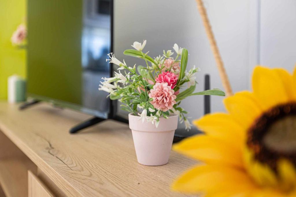 LA CASA DE LUIS Garaje Incluido - 13