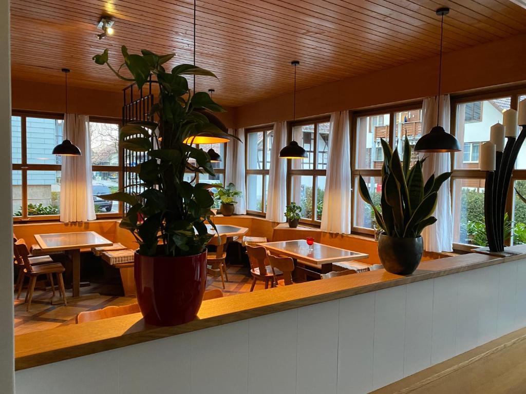 a restaurant with tables and potted plants and windows at Hotel Bären Niederscherli in Niederscherli