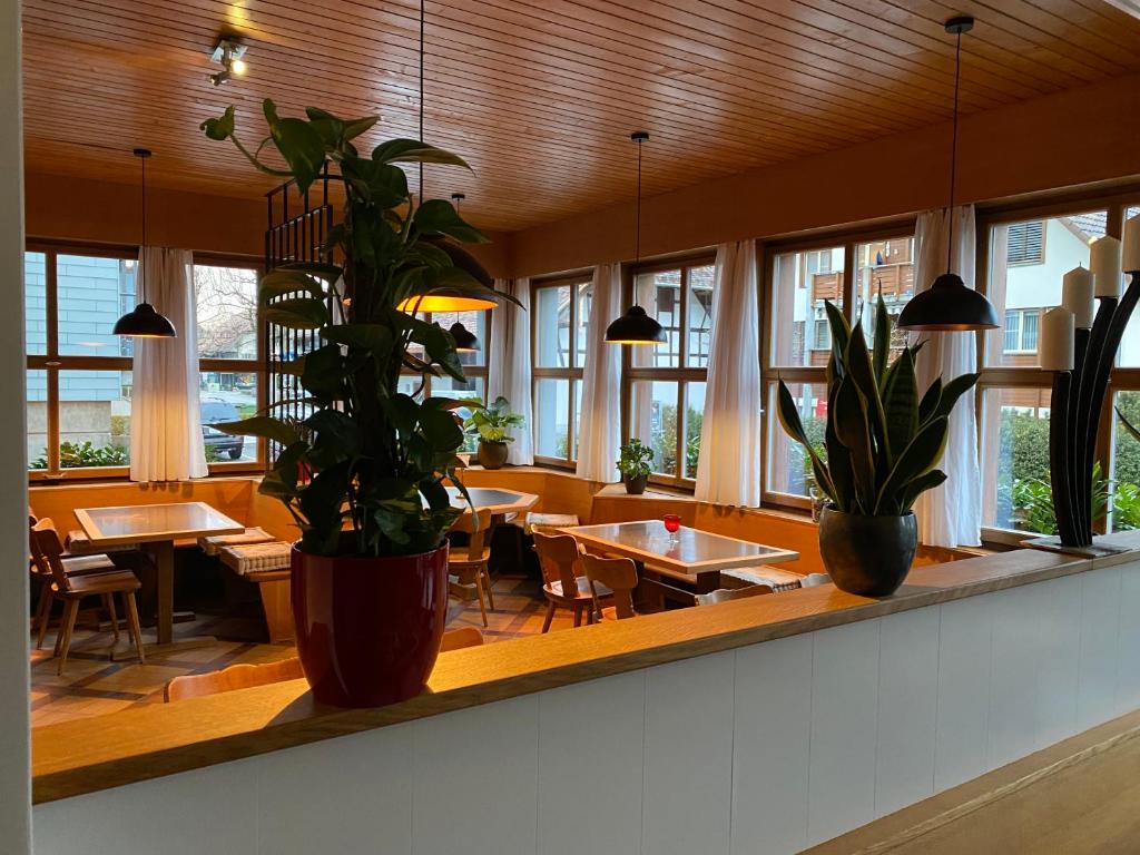 Restaurace v ubytování Hotel Bären Niederscherli