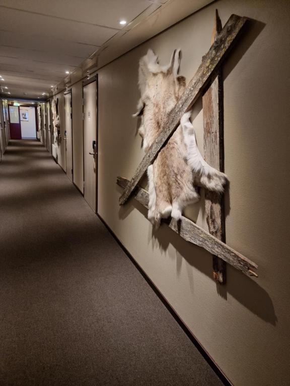 Fotografie z fotogalerie ubytování Hotell Tjamstan Malå v destinaci Malå