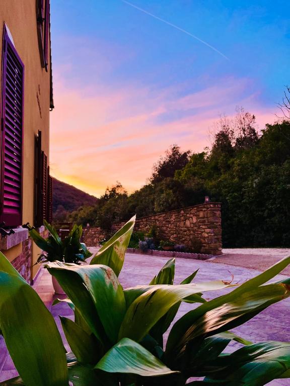 B&B La Fucinaia Pet Friendly Adults only - Single Room
