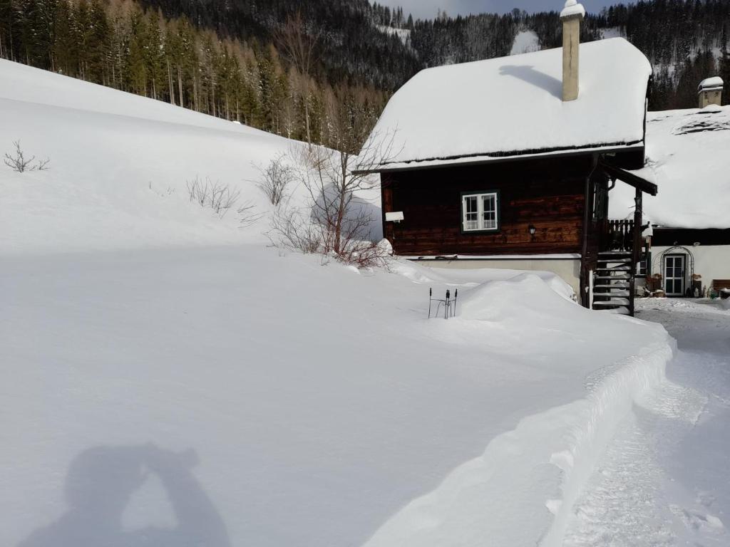 Ferienhaus Pliescherhof - Holiday Home