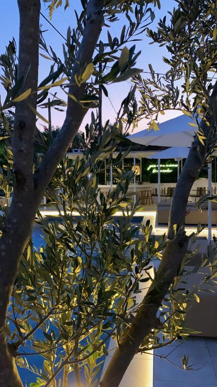 Fotografie z fotogalerie ubytování Alidian bay Suites Leros v Alindě