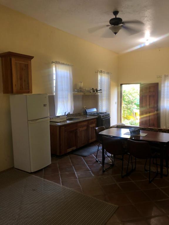 Kuchyň nebo kuchyňský kout v ubytování Pura Vida Jamaica