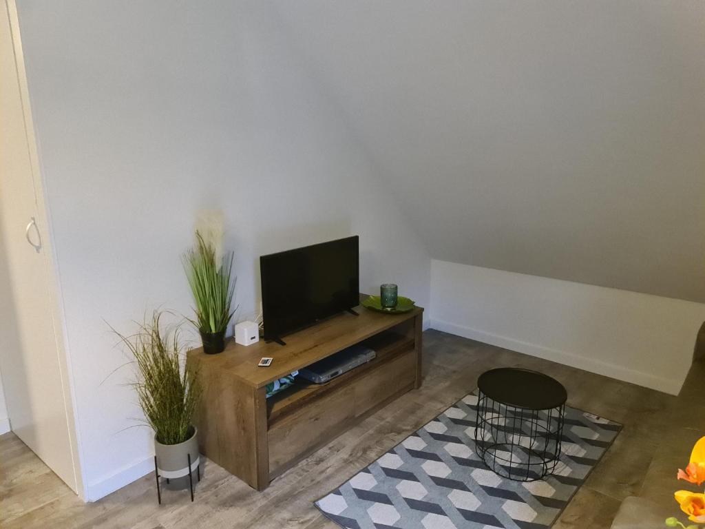 TV a/nebo společenská místnost v ubytování De Gorzen