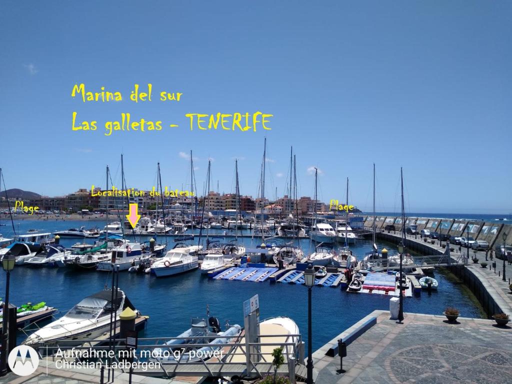 Barcos En contact avec la mer en Las Galletas, Tenerife