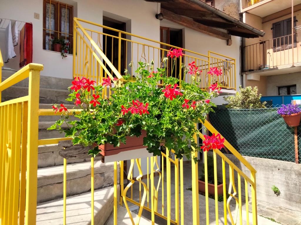 a planter with red flowers on a yellow railing at B&B LA MARMOTTA in Coazze