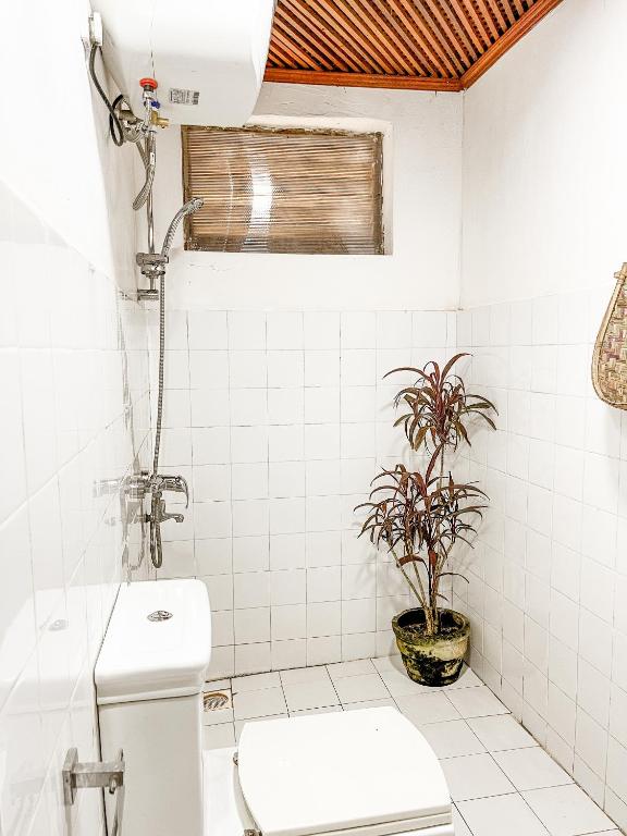 Alice in Paradise - 10