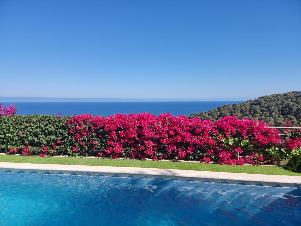 Kép Your Paradise at Costa Brava szállásáról Blanesben a galériában