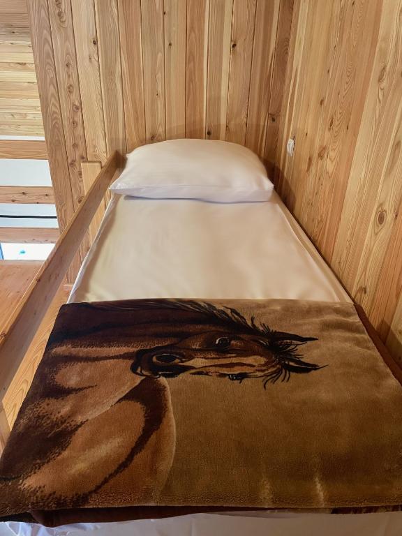 Apartamenty Hucuł - 5