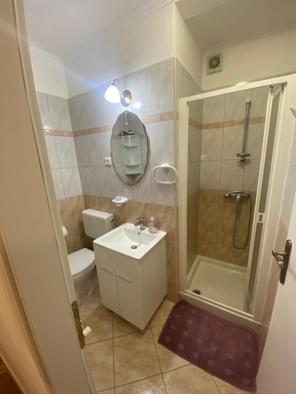 a bathroom with a shower and a sink and a toilet at Apartments Oliva in Poreč