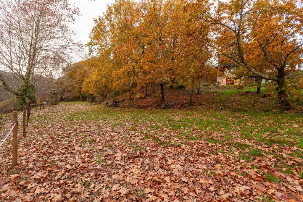 Refúgio das Poldras - 2