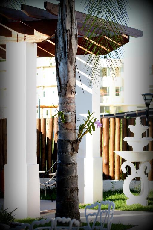  Hotel Água Viva