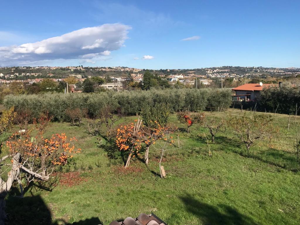 Príroda v okolí of the bed and breakfast
