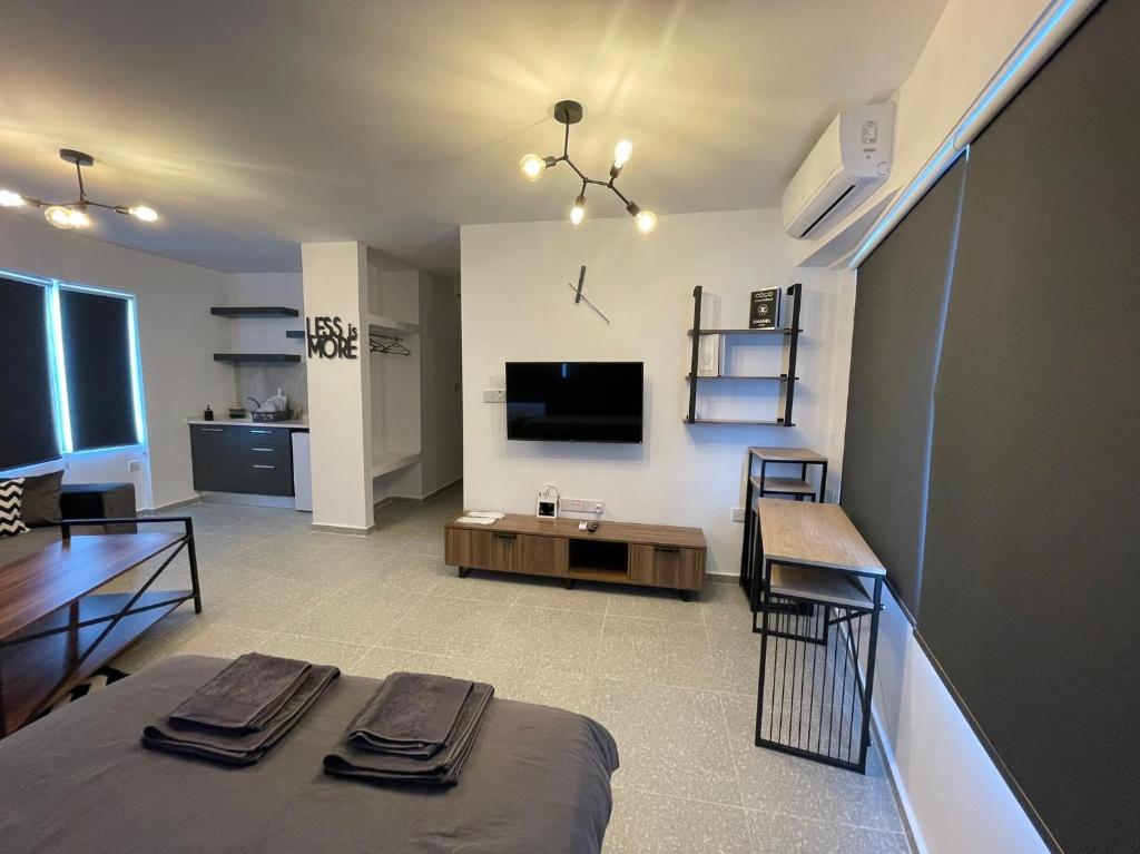 a large living room with a bed and a television at Mr. Studio in Ortakoy , North Nicosia + wifi + netflix in North Nicosia