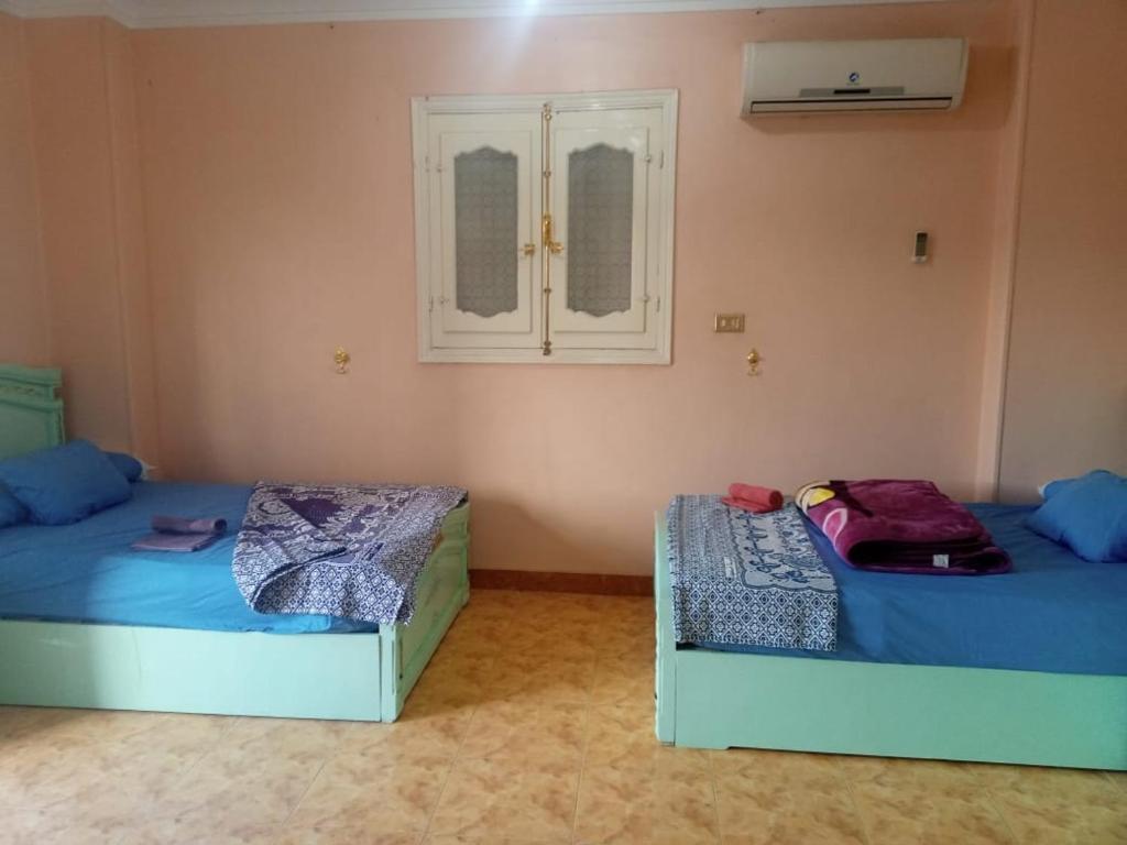 Go Inn Backpackers - Habitación Gemela Económica