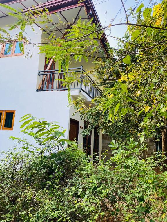 Zahrada ubytování Ritigala Hideaway