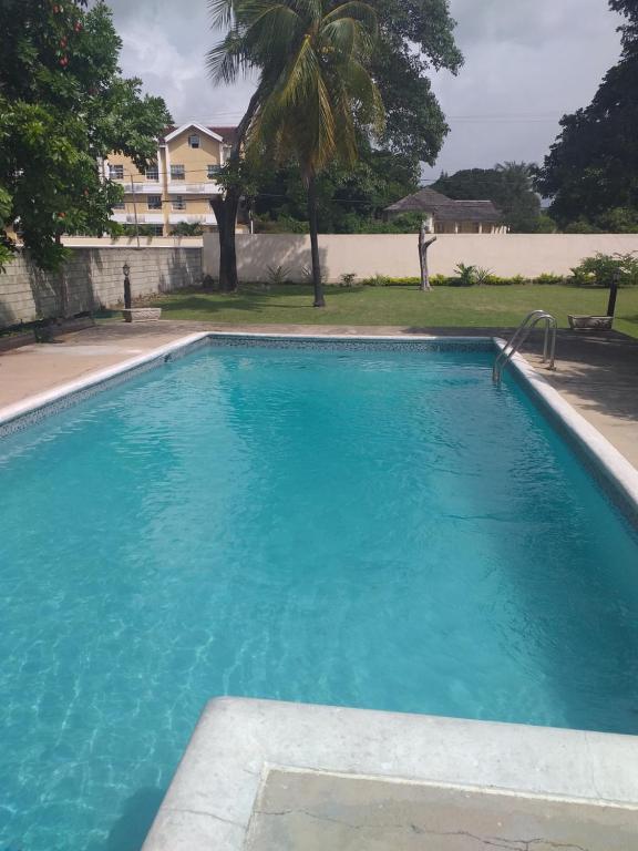 a large swimming pool with blue water at Pool View Apartment in Camperdown