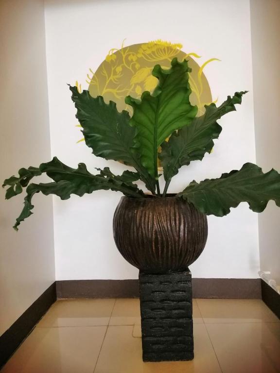 Fotografie z fotogalerie ubytování AMARANTA SUITES v destinaci Davao