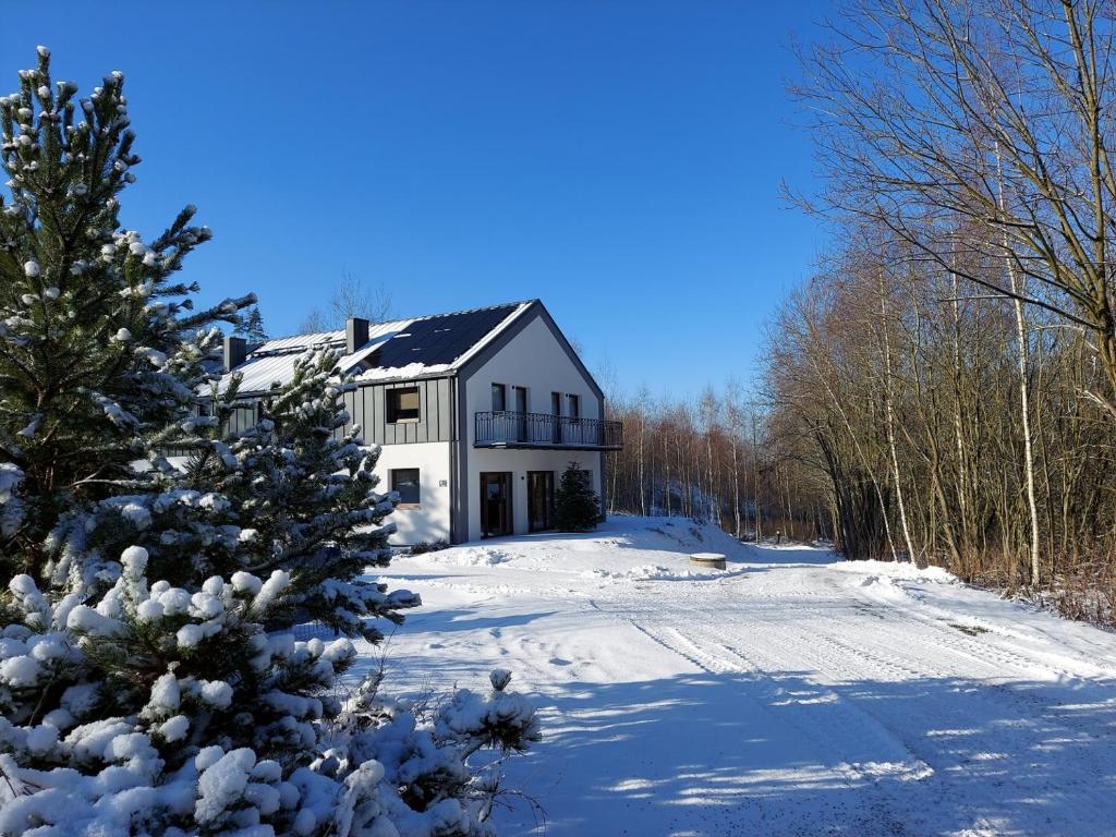 Willa Na Pstrążnicy v zimě