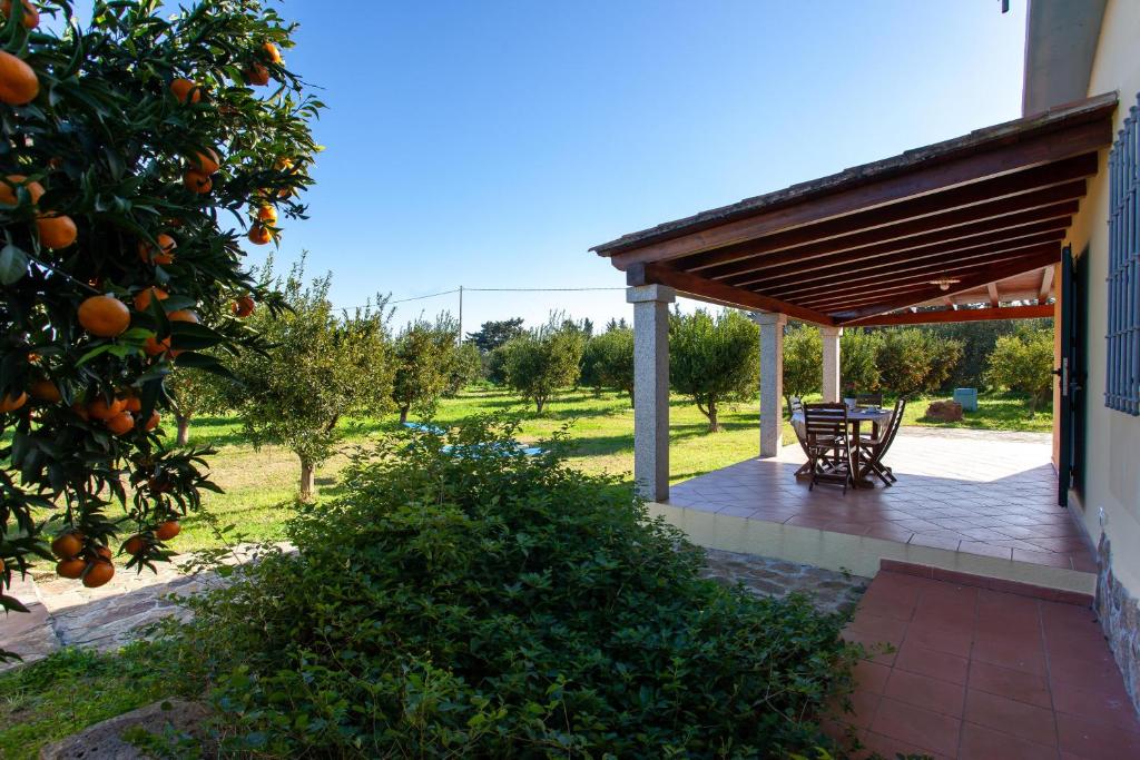 A garden outside Casa Barvis