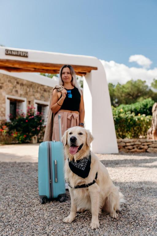 Domácí mazlíčci ubytovaní s hosty v ubytování Agroturismo Can Guillem