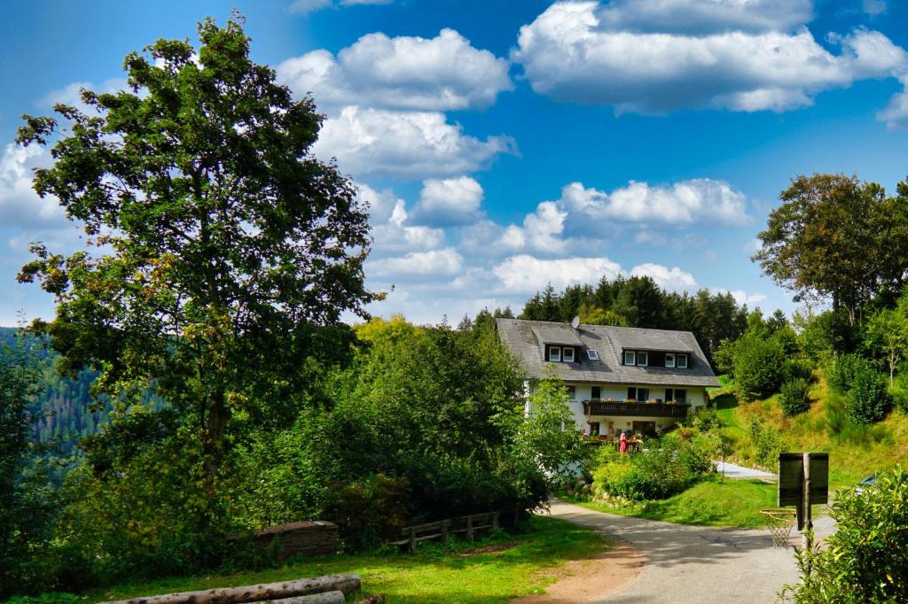a house on a hill with a tree and a road at Landhaus Valentin in Triberg
