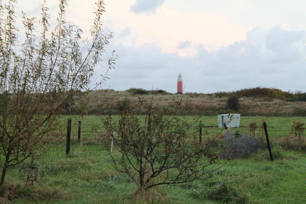 a field with a lighthouse in the distance with a fence at boerderij de duinen 111 in De Cocksdorp