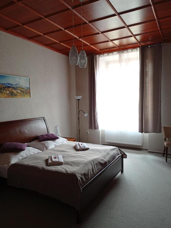 Hotel na Kafkové - Resim 7