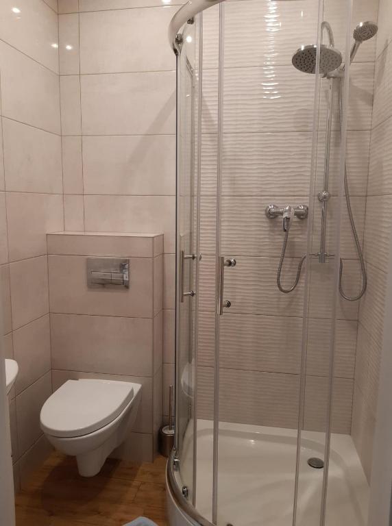 Zajazd Pod Jesionami - Habitación Individual Con Baño Privado