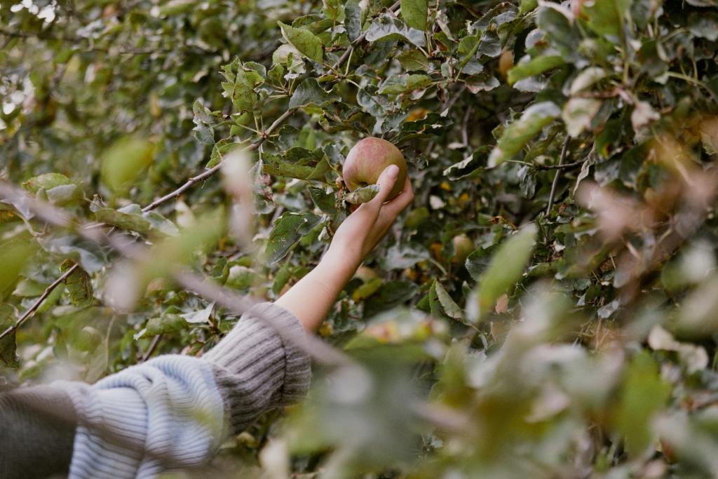 Hotel Villa Eva - Resim 33