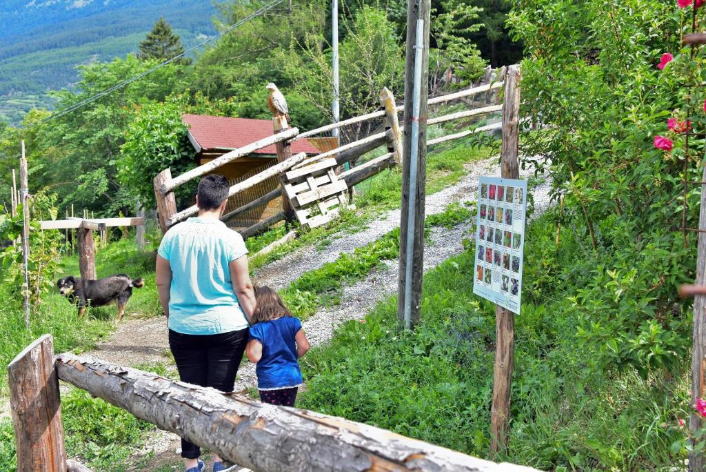 Príroda v okolí apartmánu