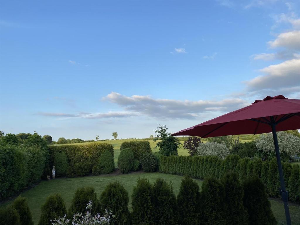 a garden with hedges and a red umbrella at Ferienwohnung Andres in Wees