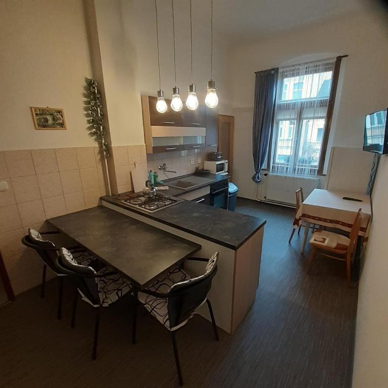 kuchnia ze stołem i krzesłami w pokoju w obiekcie Apartma Františkovy Lázně we Franciszkowych Łaźniach