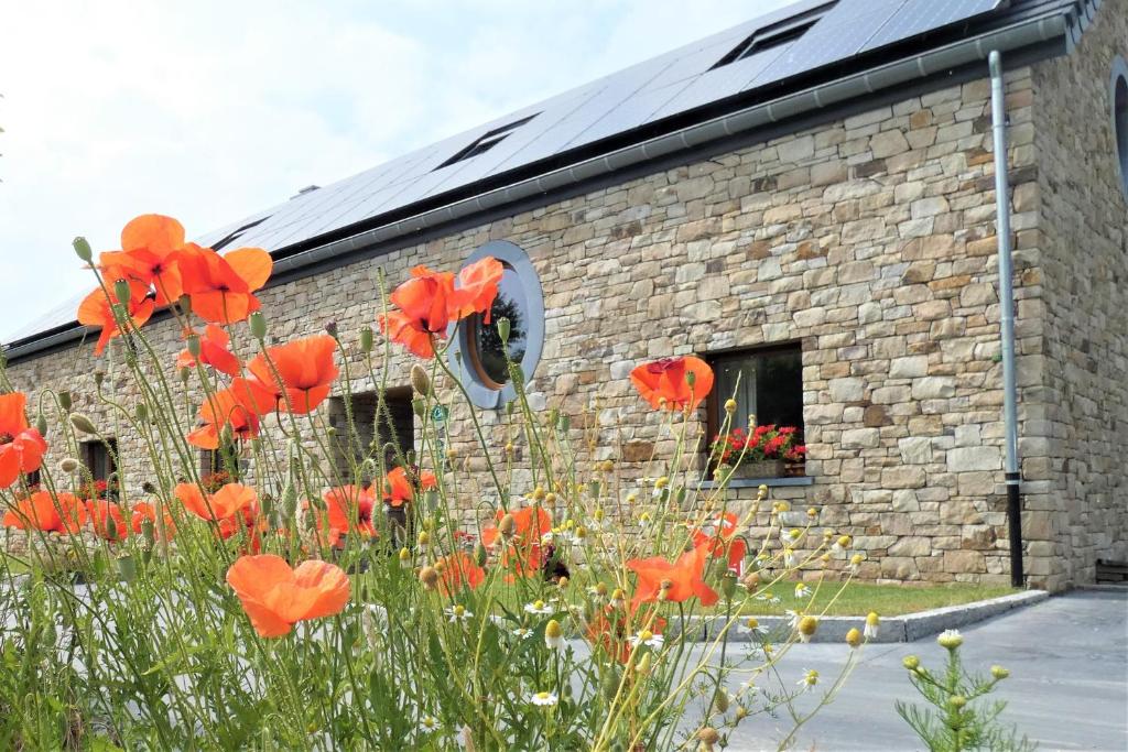 a group of red poppies in front of a brick building at Un air de bourlingueurs in Pepinster