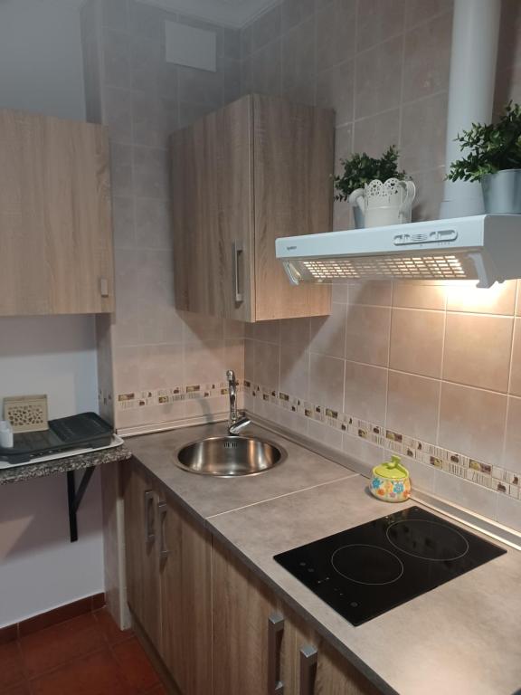 una cocina con fregadero y encimera en La Gonzala, en Zahara de la Sierra
