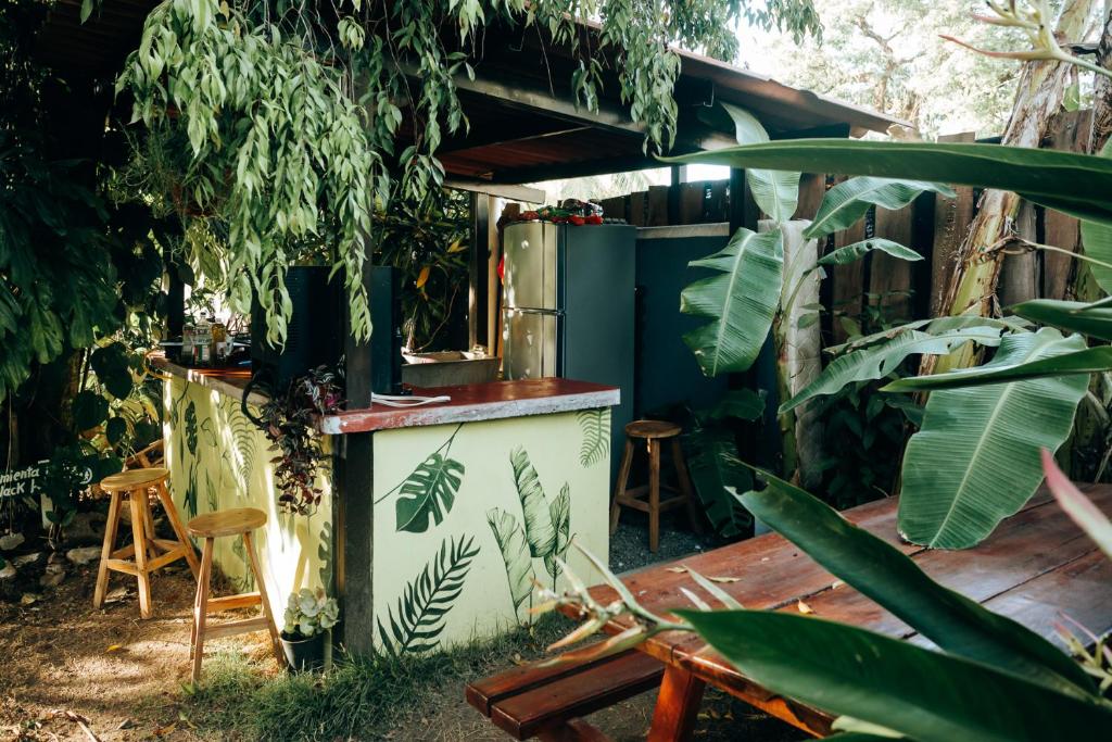 Zahrada ubytování Hostal & Café Travelers